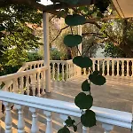 Apartments Lipa